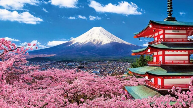 dich vu dich thuat tieng nhat lay ngay toc do